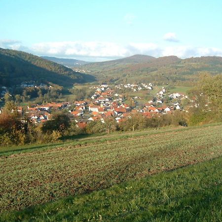 Ferienwohnung Hergenroeder Riedenberg  Extérieur photo