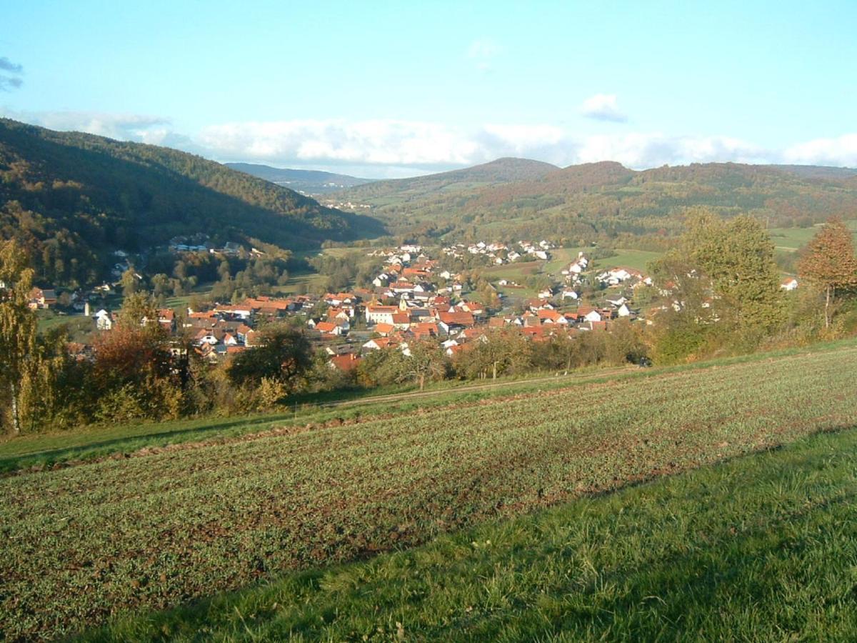 Ferienwohnung Hergenroeder Riedenberg  Extérieur photo