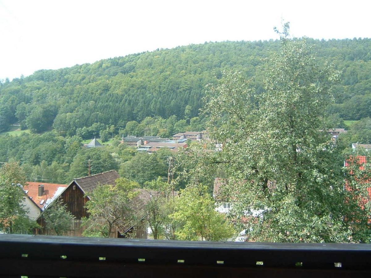 Ferienwohnung Hergenroeder Riedenberg  Extérieur photo